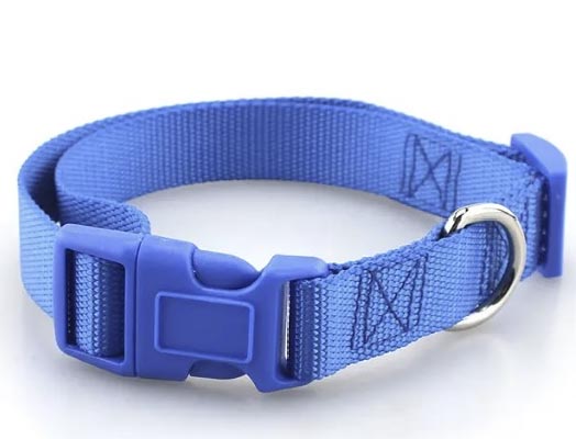 Coloured Dog Collars