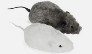Rosewood Mechanical Mouse