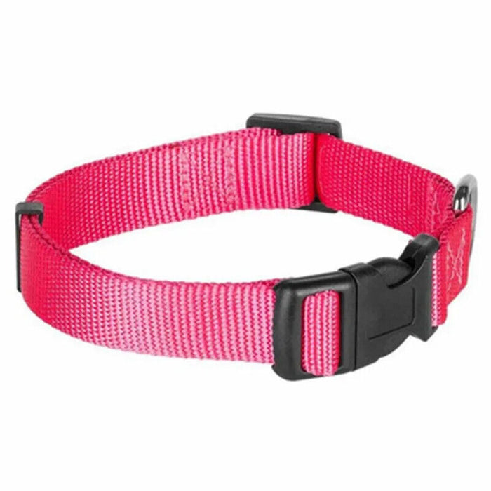 Coloured Dog Collars
