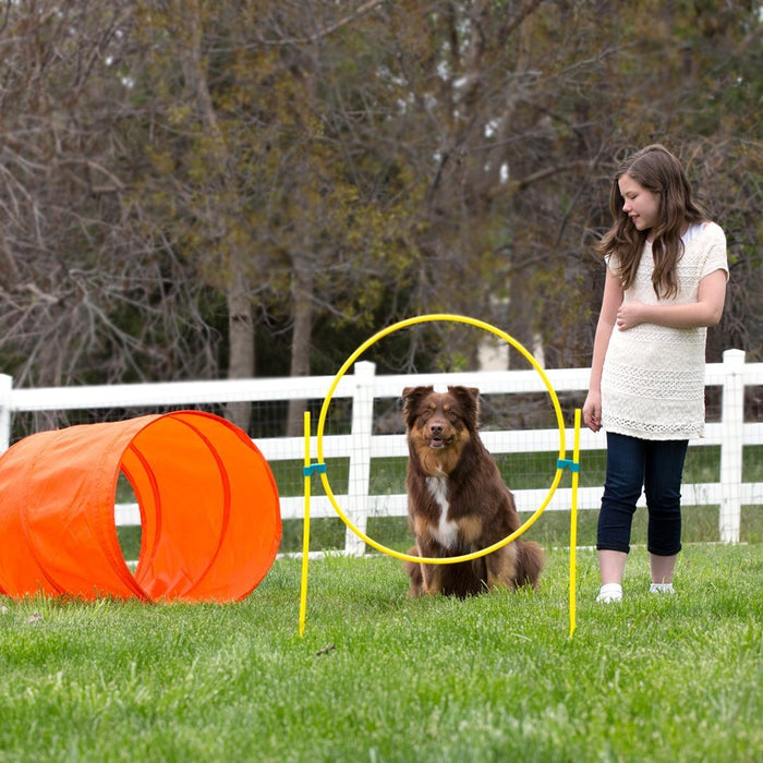 Dog Agility Training Kit