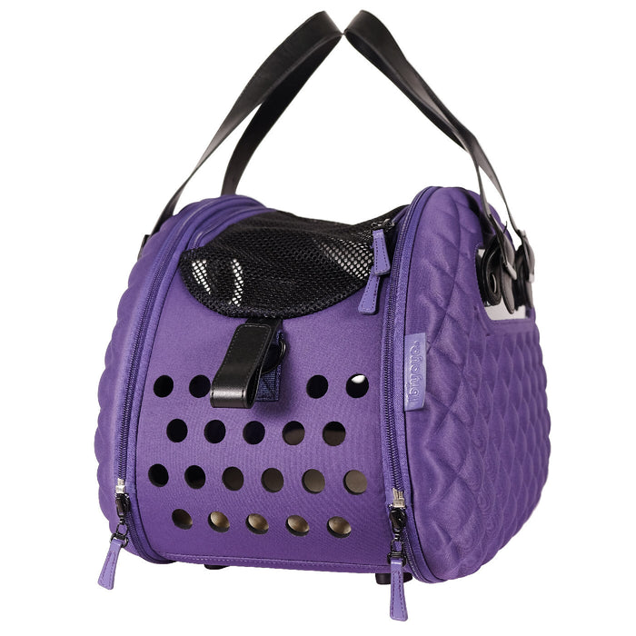 Ibiyaya Collapsible Pet Carrier