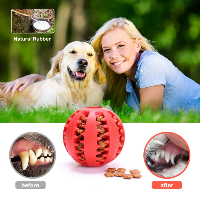 Dog Interactive Treat Balls