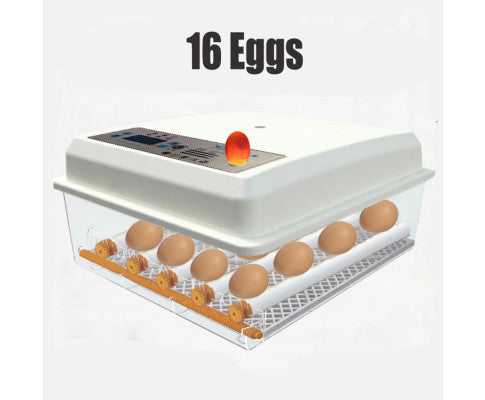 16 Egg Automatic Incubator