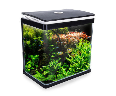 Dynamic Power Fish Tank 30L