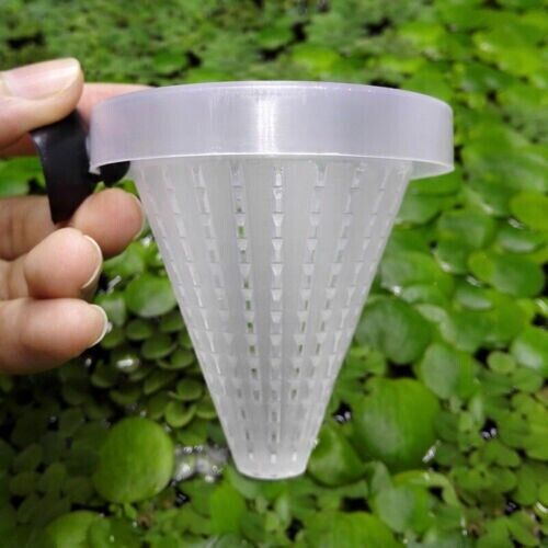 Cone Shape Worm Feeder